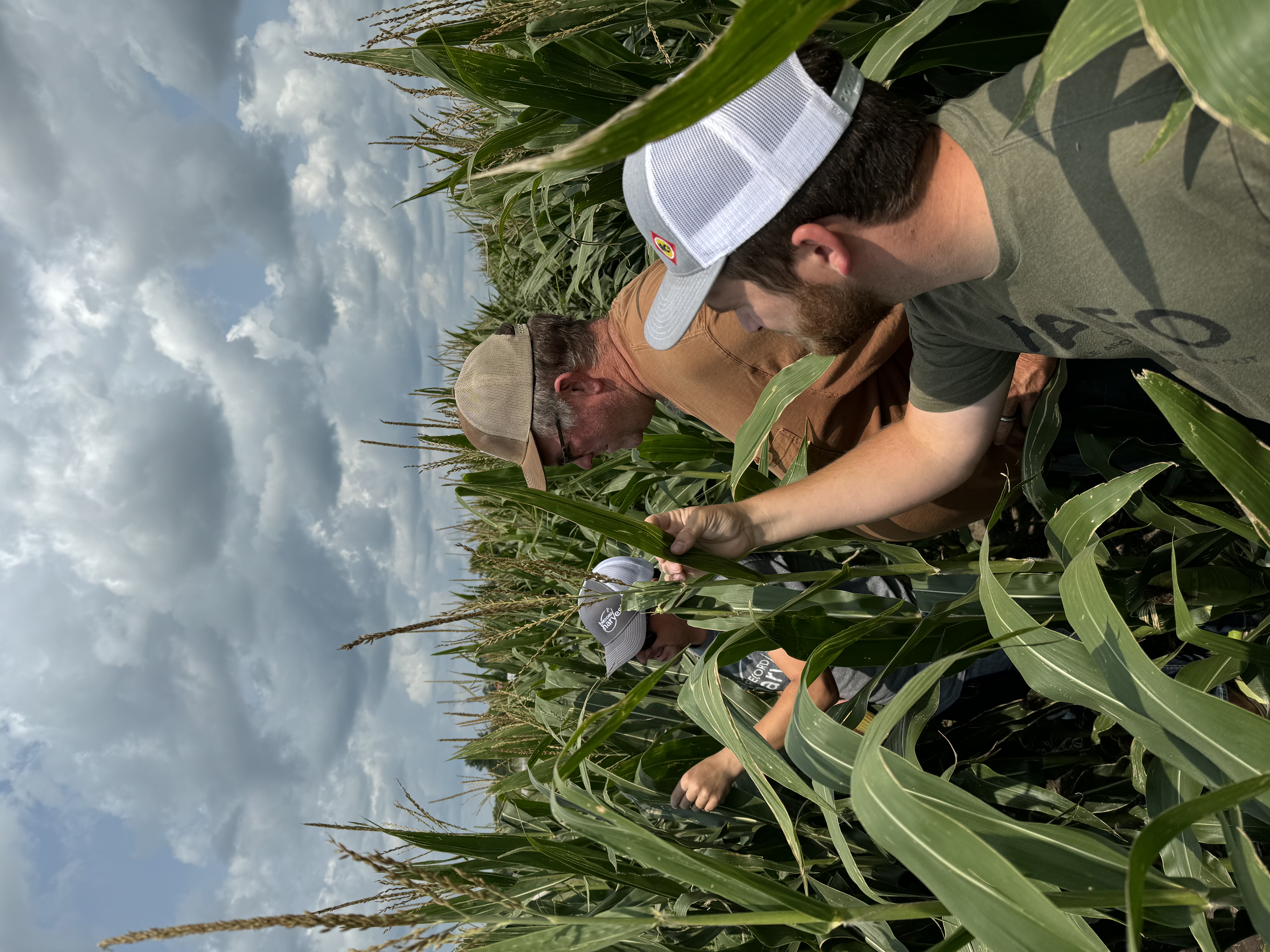 Field scouting in Northeast Kansas