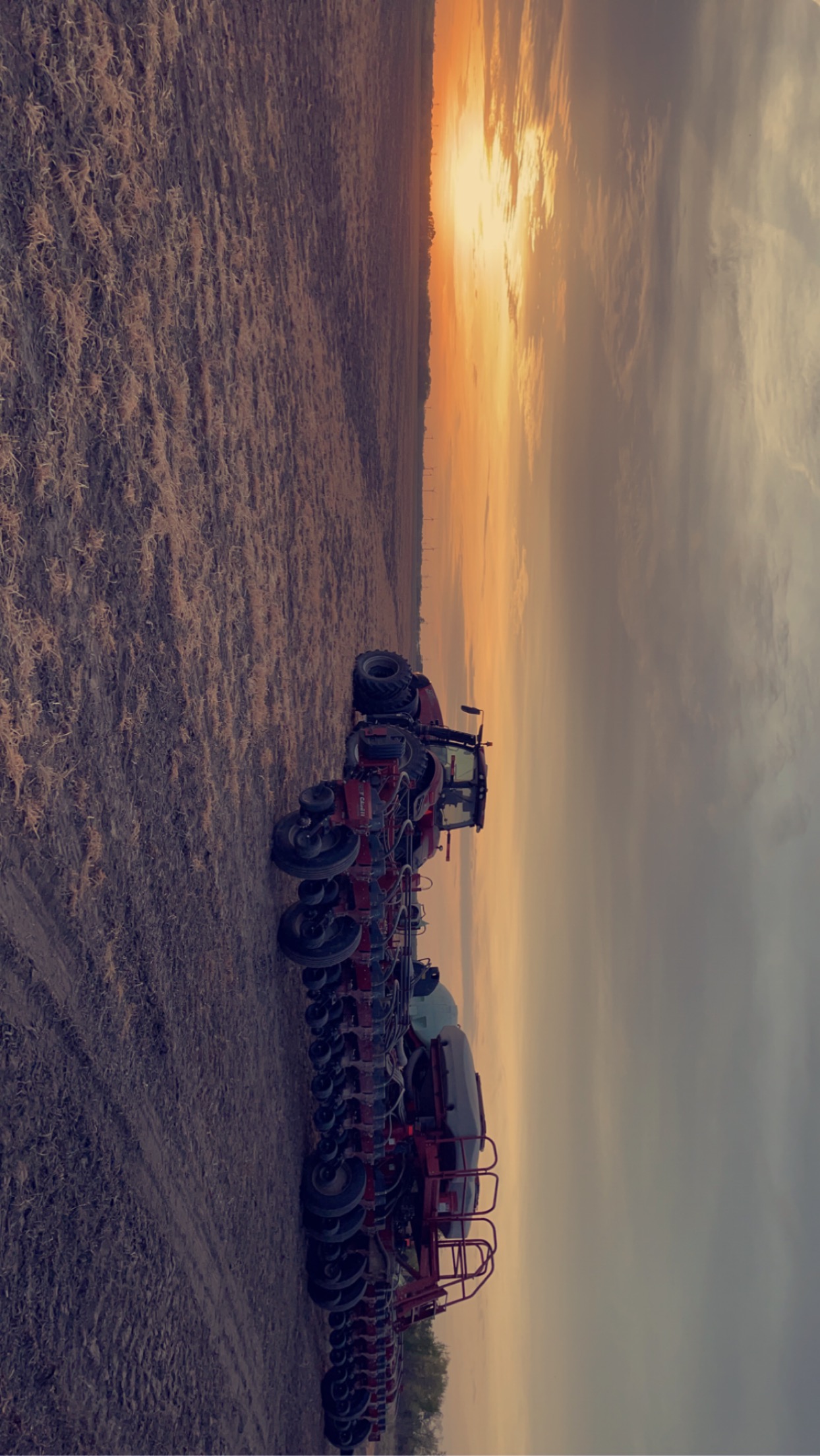 Planting at sunset
